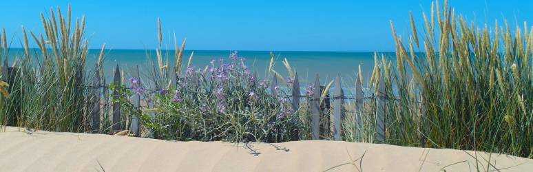 CAMPING LES SALINES ***, en el borde del mar en Pays de la Loire