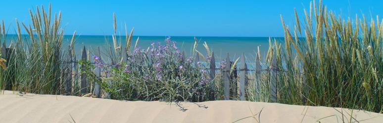 CAMPING LES SALINES ***, 3 étoiles en Pays de la Loire