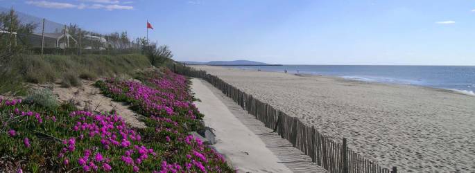 CAMPING LA PLAGE ***, en el borde del mar en Occitanie