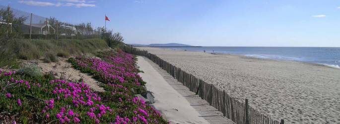 CAMPING LA PLAGE ***, au bord de la mer en Occitanie