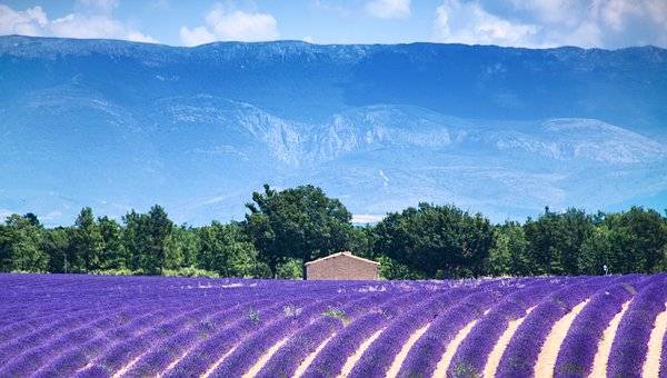 Campings Alpes-de-Haute-Provence