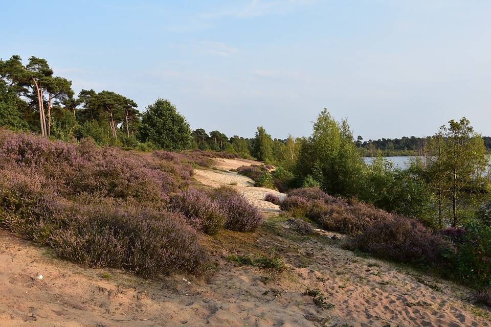 Campings Landes